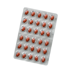 Salus Floradix® Acide folique capsules