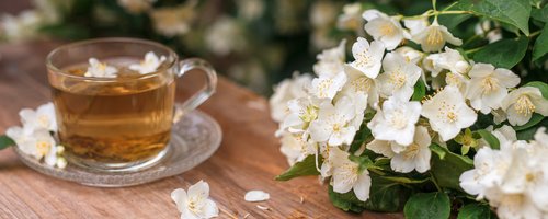 Eine Tasse Tee und daneben liegen weisse Blüten. 