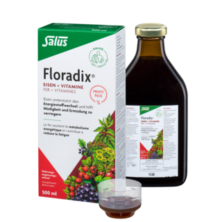 Salus Floradix® Fer + vitamines tonique