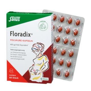 Salus Floradix® Folsäure Kapseln
