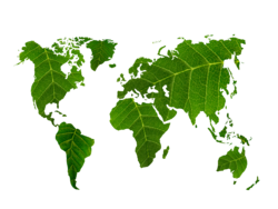 Weltumriss dargestellt mit einer grünen Blätterstruktur.