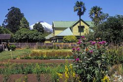 Anbaufläche mit Pflanzen und Kräutern in Chile. 